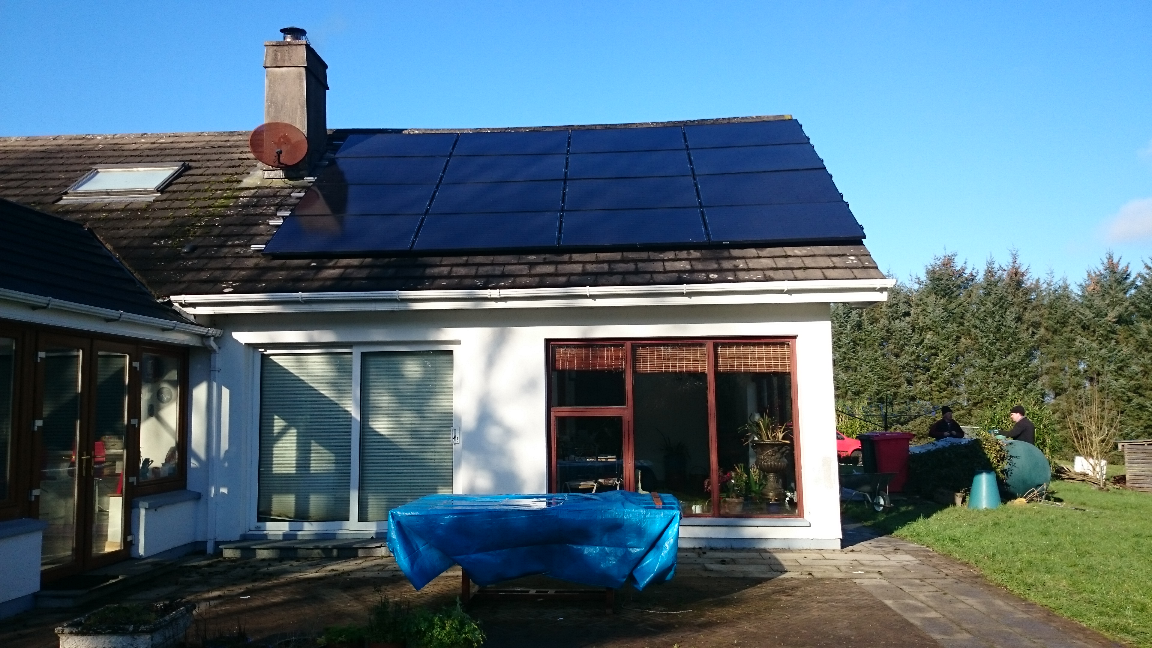 4-kw-in-Watergrasshill-nest-job-trees-to-be-topped